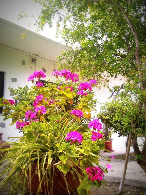 Thalassa Leilighet Faliraki