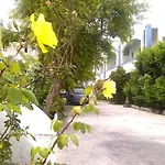 Thalassa Studios